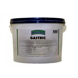Horselux Gastric